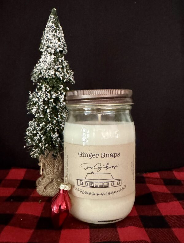 Gingersnaps - Pint Size Mason Jar Candle